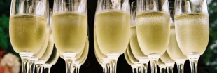 Du champagne bio pour Noël