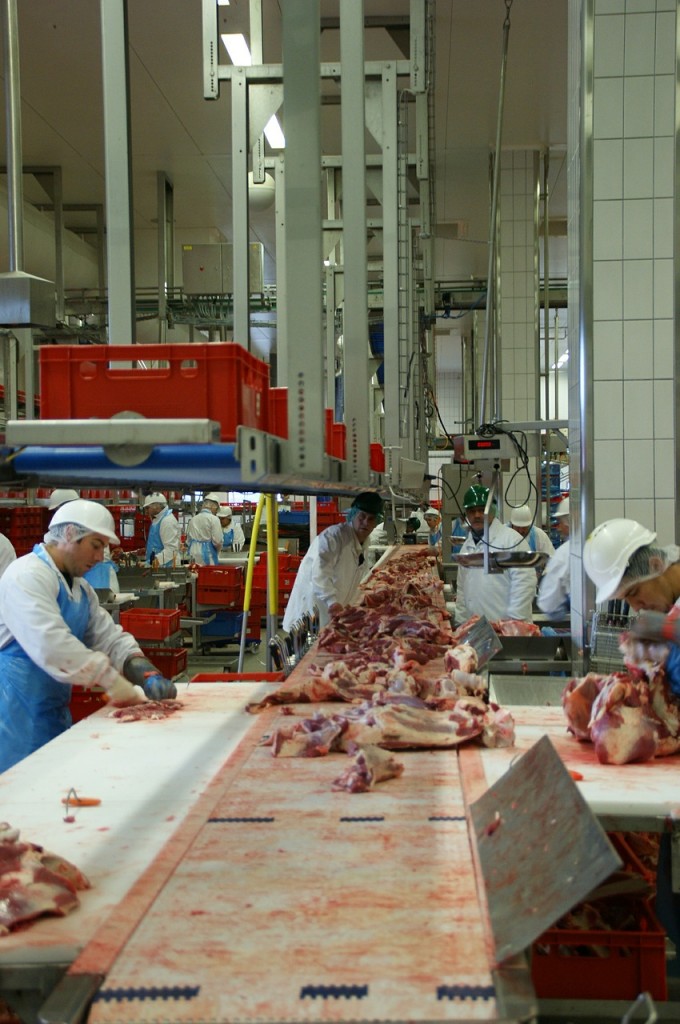 Violence dans les abattoirs : les députés refusent les caméras