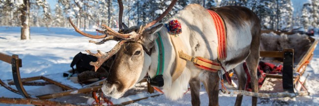 Reportage photos au pays du Père Noël