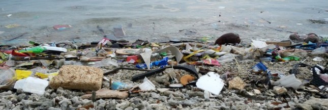 Sea Cleaner, pollution, plastiques, océans