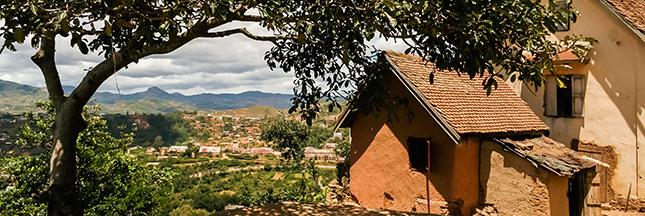 Be Tsara : l'huile essentielle de ravintsara 100% bio et responsable