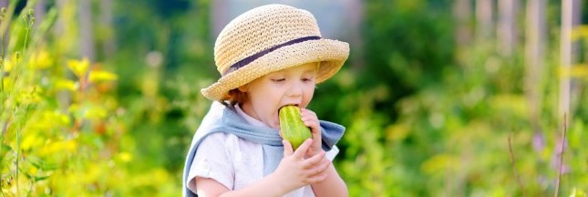 Comment faire manger des légumes et plus de fruits aux enfants ?