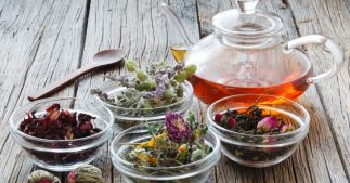 La phytothérapie pour soigner la déprime hivernale La phytothérapie pour soigner la déprime hivernale