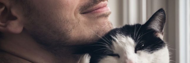 La ronronthérapie, les bienfaits des chats