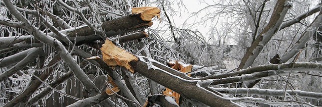 Météo : tempête Egon et vague de grand froid