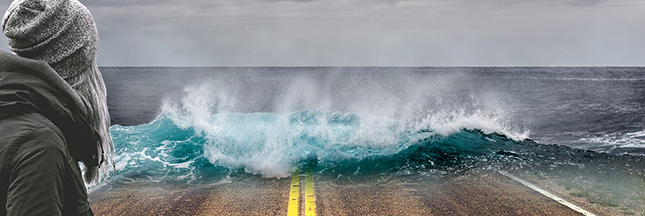 L'environnement enfin un vrai enjeu de la campagne présidentielle