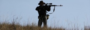 États-Unis : des permis de chasse à vendre aux enchères