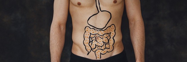 Comment les ferments lactiques agissent sur nos intestins ?