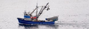 Pêche : la Banque mondiale prône une réforme en profondeur