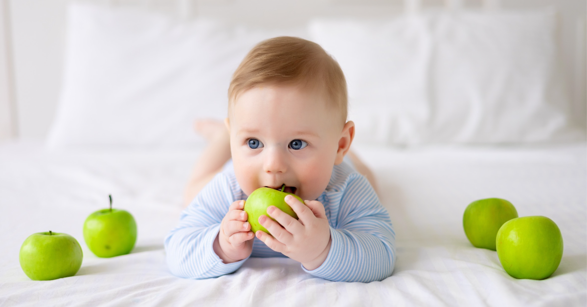 Comment le goût vient-il aux bébés ? Comment le goût vient-il aux bébés ?