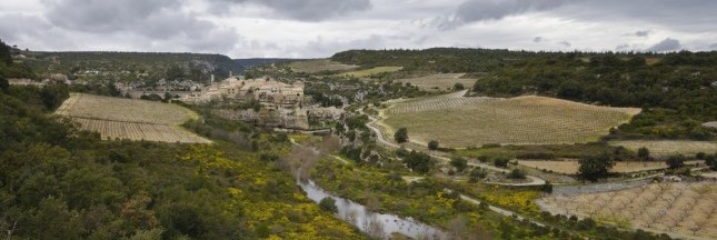 Hérault : l'urbanisation trop rapide réduit les terres agricoles