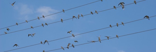 Candidats : 'la transition énergétique doit se faire par les citoyens' Candidats : 'la transition énergétique doit se faire par les citoyens'