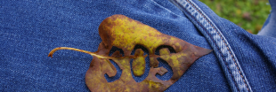 Réduisez l'impact écologique de vos jeans