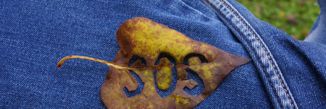 impact écologique jeans