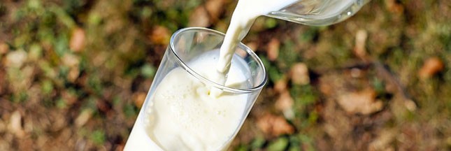 Prix du lait : entente cordiale entre supermarchés et éleveurs