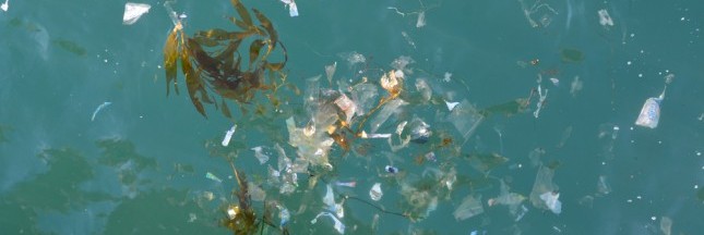 Les microparticules de plastique envahissent les océans