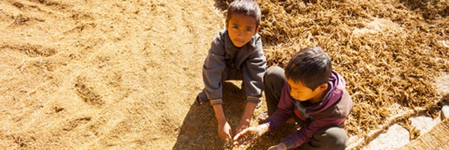 L’agriculture n’exploite pas que la terre, mais aussi les enfants !