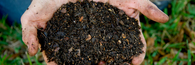 Faire un compost, c&rsquo;est écologique et très bon pour le jardin