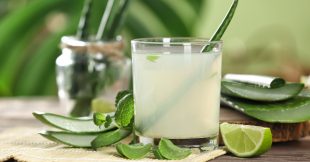 Jus d'aloe vera : bienfaits, précautions et recette maison facile Jus d'aloe vera : bienfaits, précautions et recette maison facile