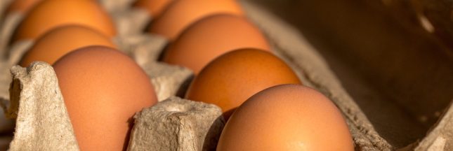 nettoyer avec des oeufs