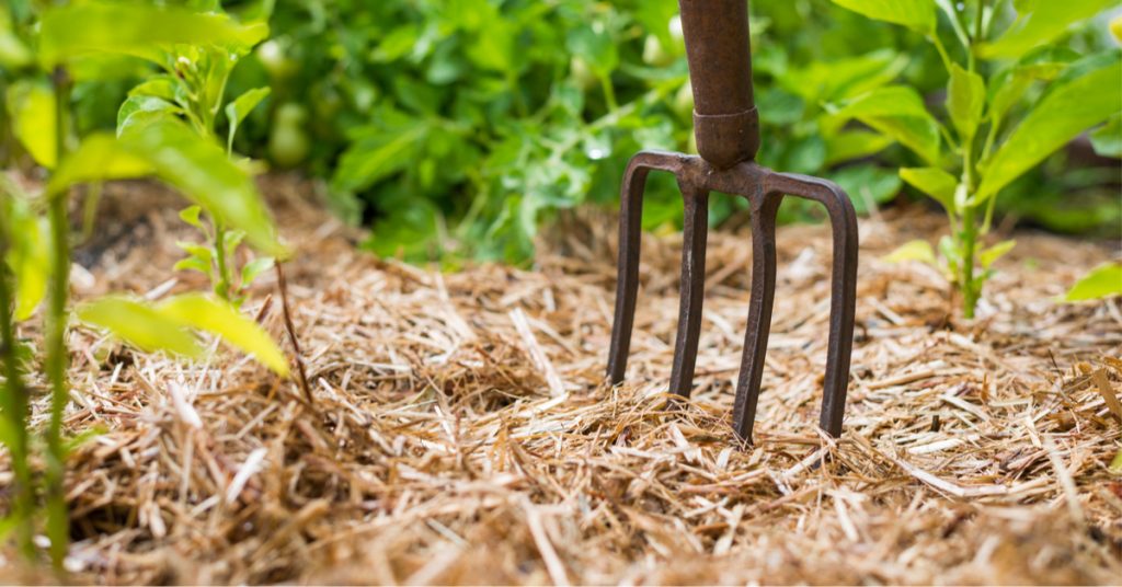 Réalisez un paillis naturel pour un beau jardin