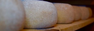 Rappel produit : Fromage pur brebis fermier - Matocq