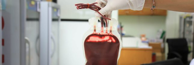 Santé : la culture artificielle de globules rouges est désormais possible