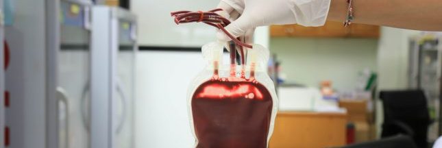 Santé : la culture artificielle de globules rouges est désormais possible
