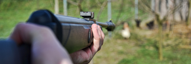 La part du braconnage dans l'économie mondiale