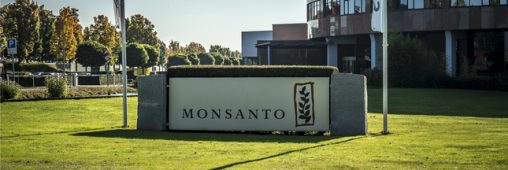 Monsanto conscient de la dangerosité du Roundup depuis 1999