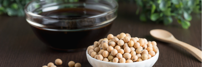 Le soja : une arme contre le cancer du sein ? Le soja : une arme contre le cancer du sein ?