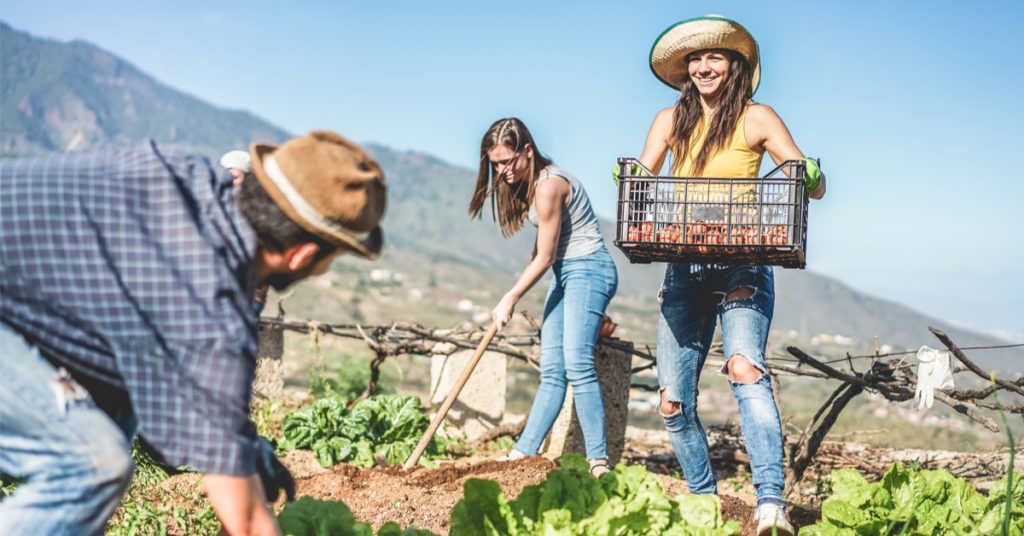 WWOOF : vacances bio et utiles à la ferme sur tous les continents !