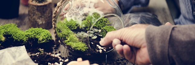 Pour un petit coin de nature à l’intérieur, pensez à créer un terrarium