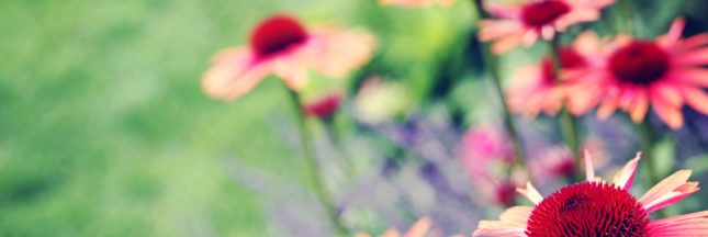 ma santé au naturel