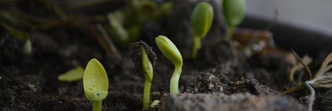 Permaculture : un livre et un film à l’affiche