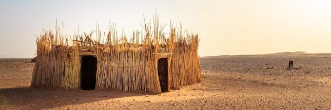 Risques liés aux OGM : où en est la connaissance scientifique ?