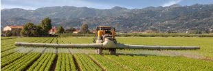 Les Français tous exposés au glyphosate, selon Générations Futures