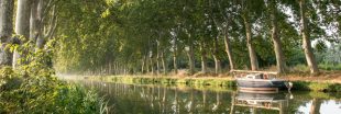En marche pour sauver le canal du Midi ! (on peut courir aussi)
