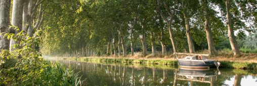 En marche pour sauver le canal du Midi ! (on peut courir aussi)