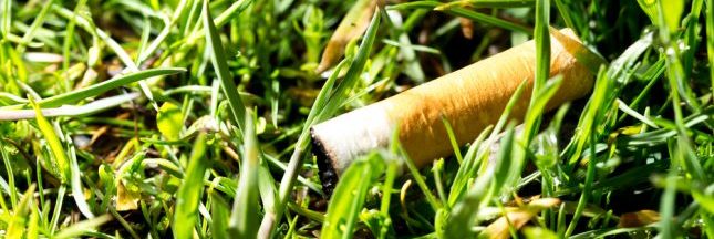 Fumer tue... l'environnement !