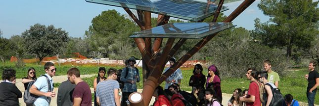 eTree, le premier arbre aux feuilles photovoltaïques inauguré à Nevers