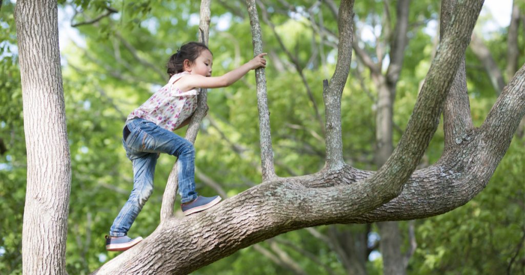 4 activités pour ce weekend en forêt avec vos enfants