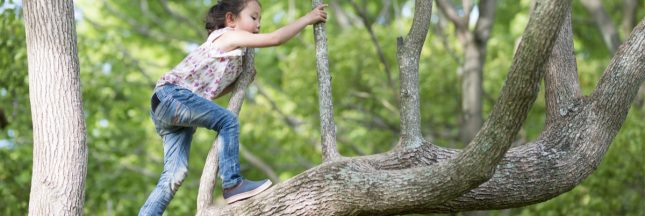 forêt enfants