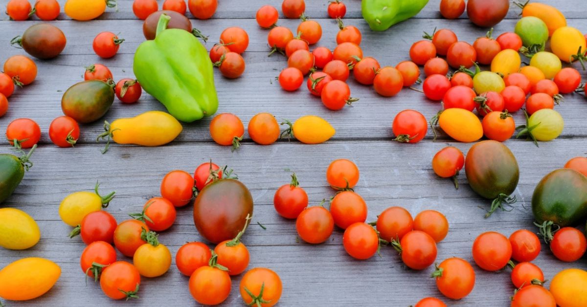 Les lectines : danger sous-estimé de notre alimentation ?