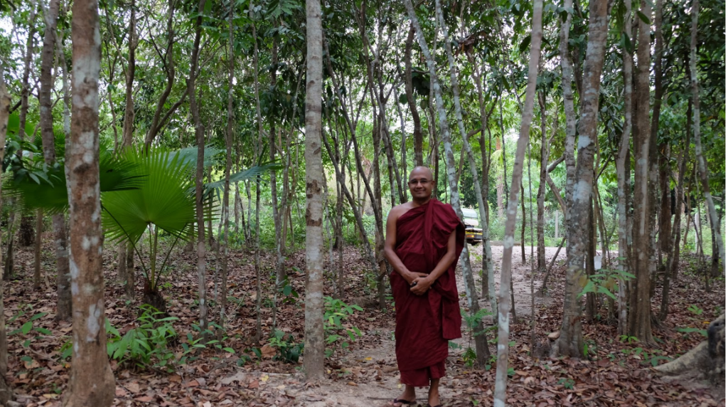 En Birmanie, un moine jardinier cultive des plantes et des âmes