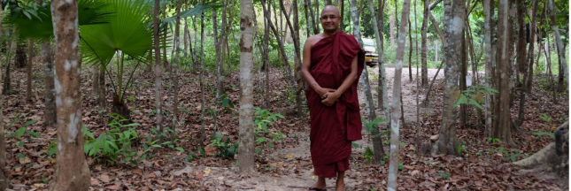 En Birmanie, un moine jardinier cultive des plantes et des âmes En Birmanie, un moine jardinier cultive des plantes et des âmes