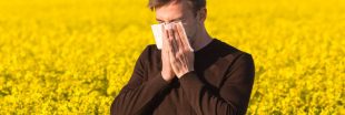Soigner le rhume des foins grâce aux huiles essentielles