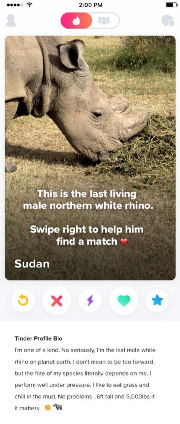 sudan rhino tinder