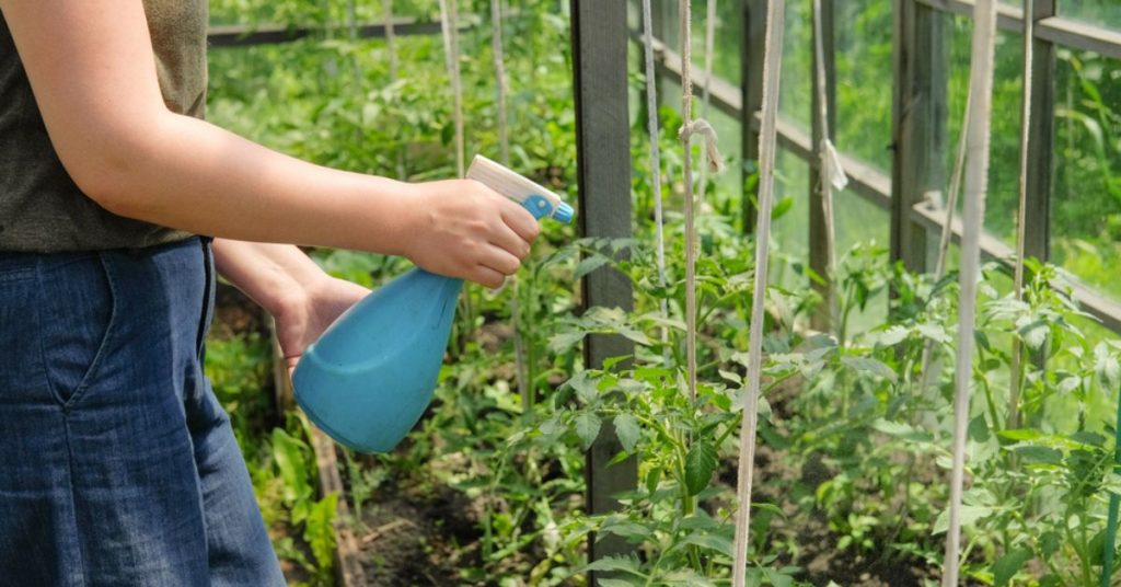 Astuces écolo au jardin : le bicarbonate de soude et ses multiples usages