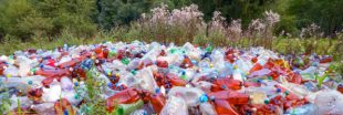 Un million de bouteilles en plastique sont écoulées chaque minute dans le monde !